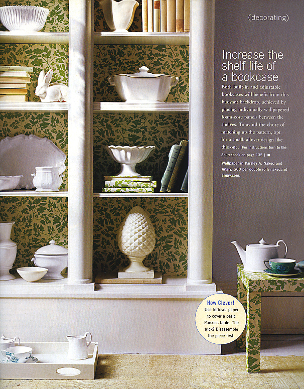 In Style Home Spring 2007 Off the Wall Pg 56
